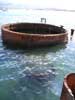 Turret 3 barbette, U.S.S. Arizona. (9/19/04)