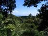 Somewhere along the road to Hana, Maui. (9/20/04)