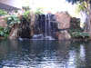 Waterfall from the lobby, Westin Maui