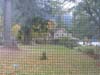 Lake Crescent Lodge through window screen