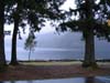 Lake Crescent, drippy morning